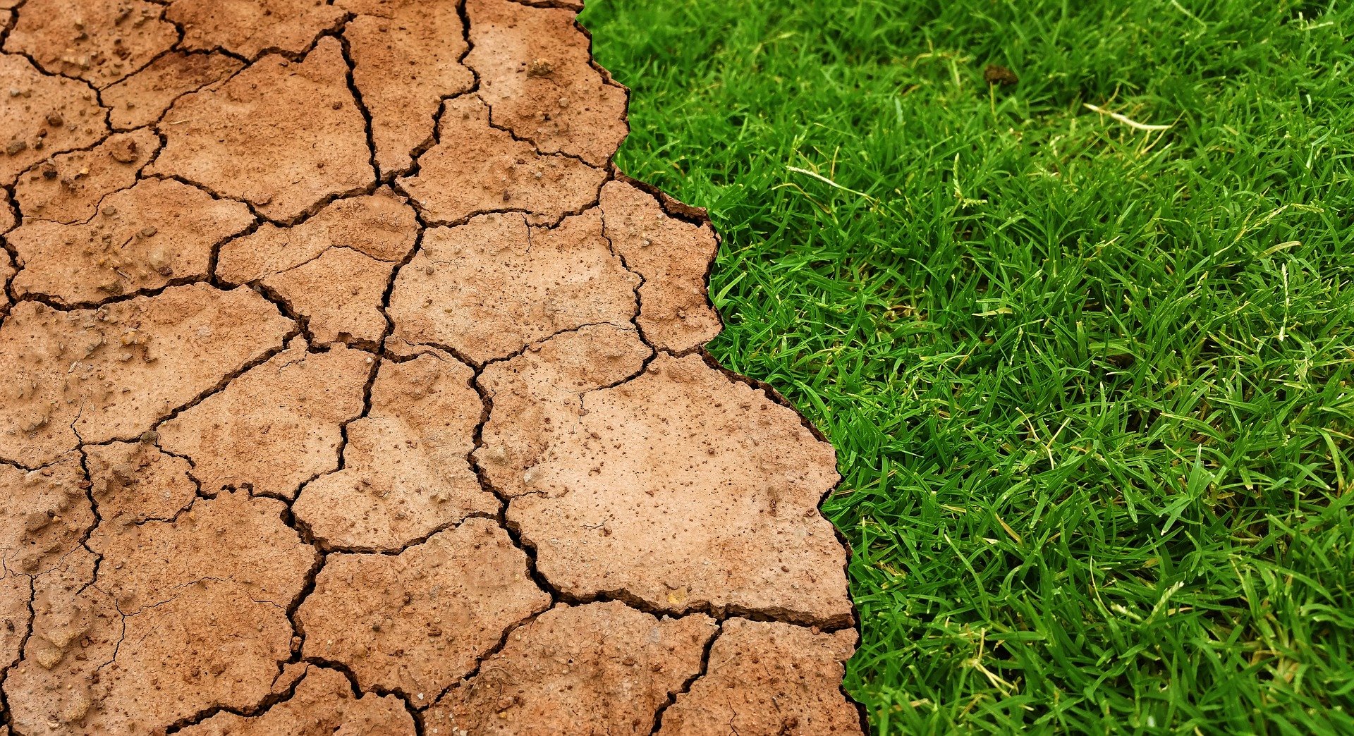 climate transition - stock photo climate transition - stock photo