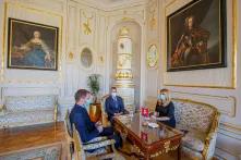 Political meetings in Slovakia in the times of pandemic