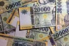 Image of many notes of 20 thousand forints piled on each other