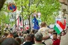 Hungarian flag at the demonstration
