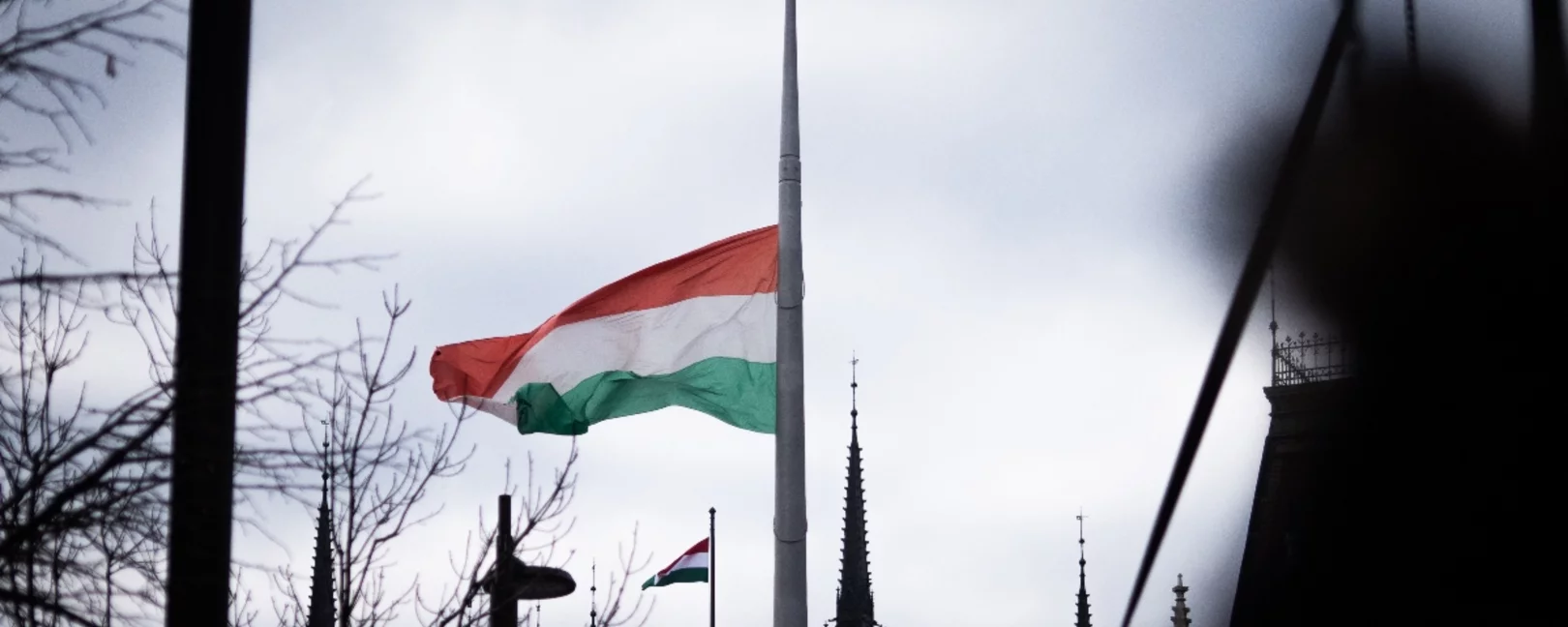 Hungarian flag