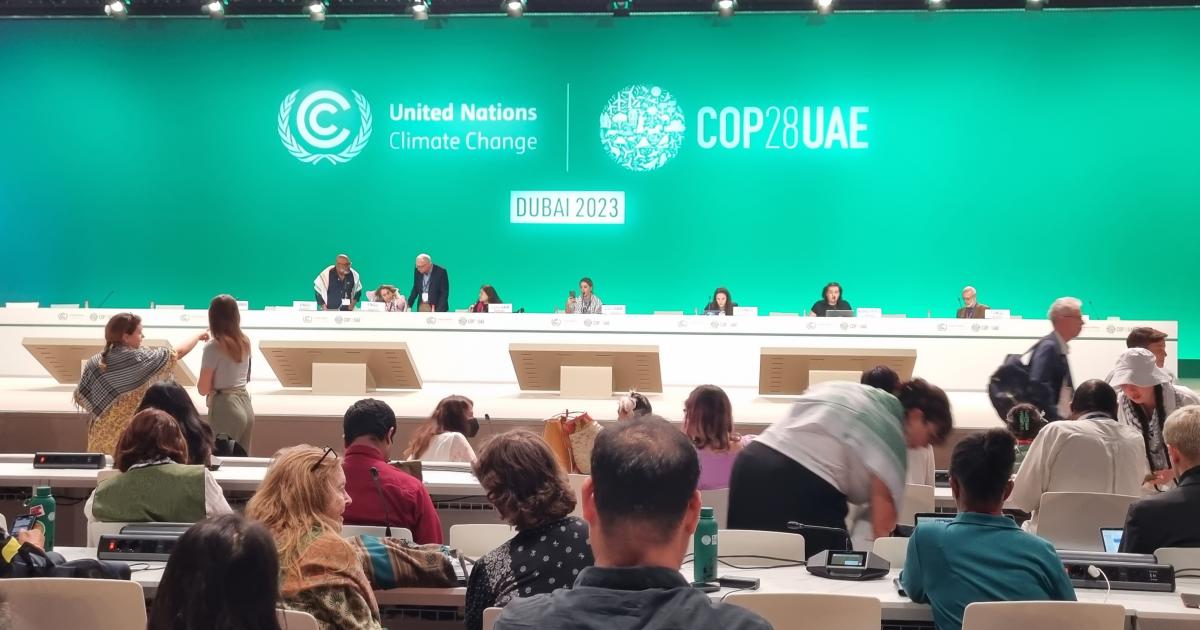 COP28 - transitioning to proper climate action? | Heinrich Böll ...