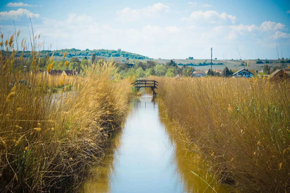 Kanal close to Neusiedler See