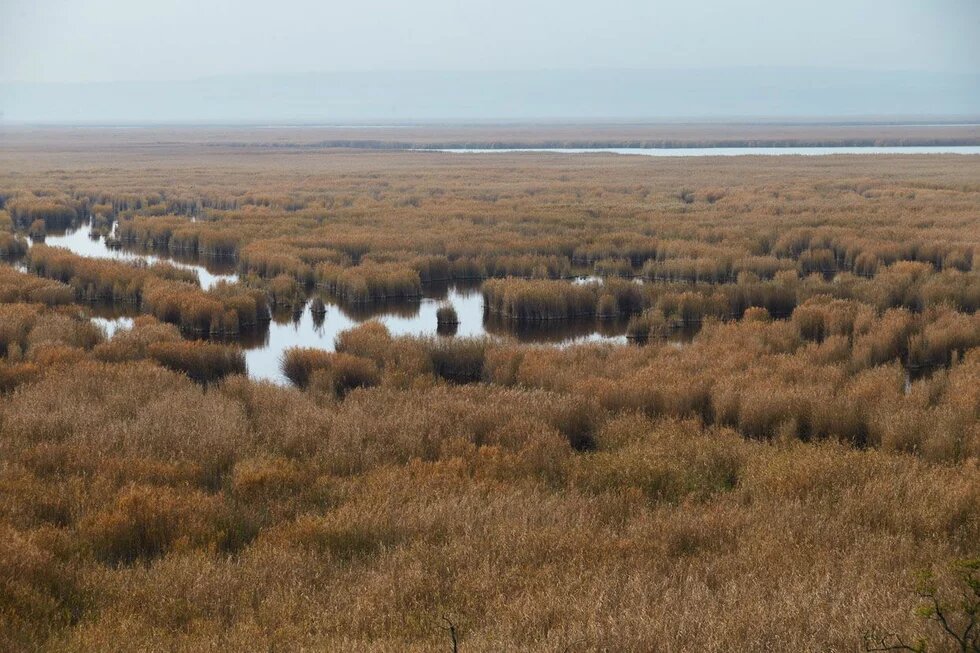 KEM Neusiedler See-Seewinkel