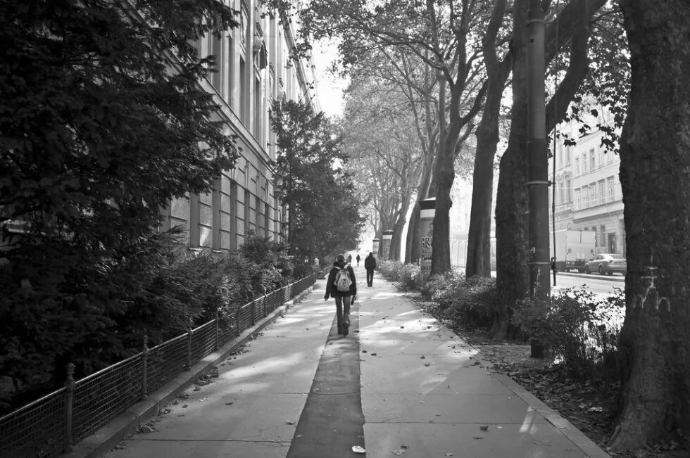 Vienna Street in Vienna