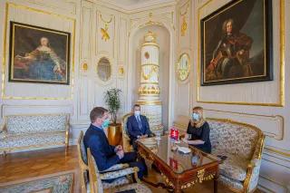 Political negotiations of president Caputova in times of corona-pandemic Political meetings in Slovakia in the times of pandemic